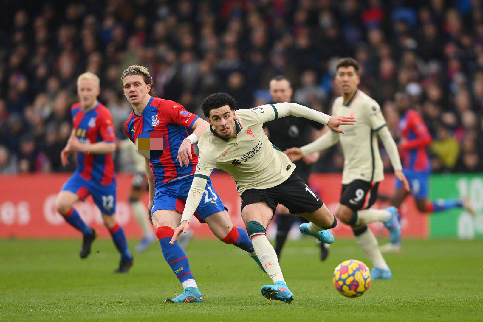 表了自己的 表了自己的